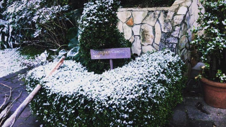 פונטקניאנו Agriturismo Terre Delle Monache מראה חיצוני תמונה