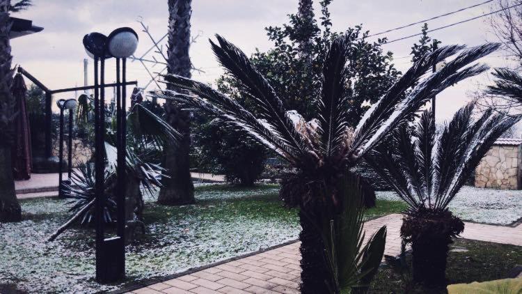 פונטקניאנו Agriturismo Terre Delle Monache מראה חיצוני תמונה