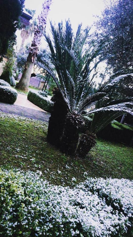 פונטקניאנו Agriturismo Terre Delle Monache מראה חיצוני תמונה